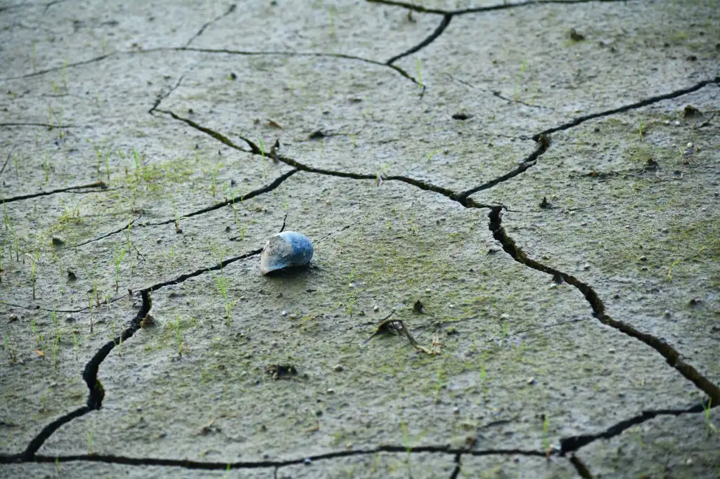 三江地区茶叶种植土壤养分检测技术要点与设备选型指南