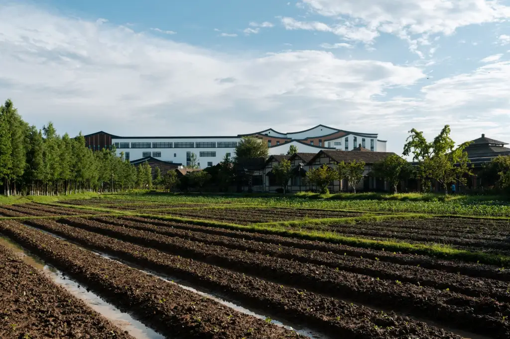 三江农业合作社测土配方施肥方案中土壤养分检测仪的操作规范