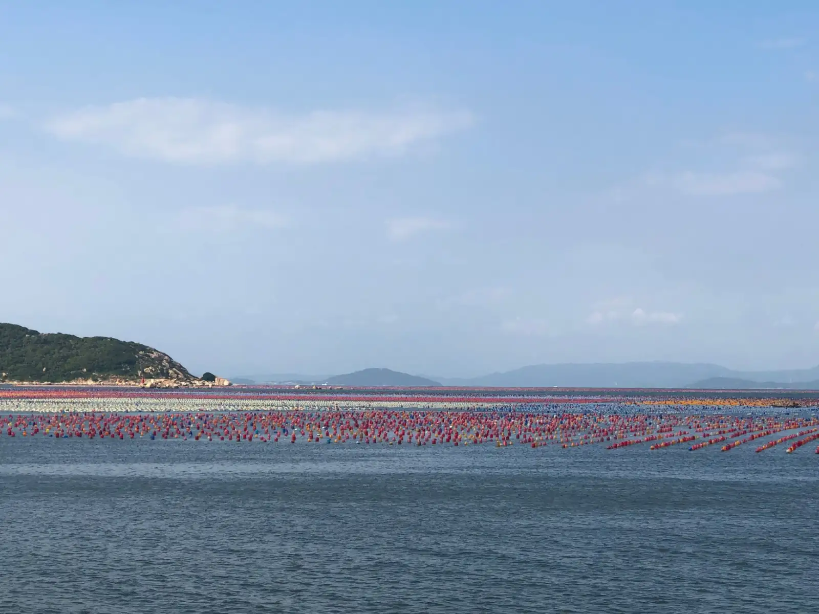 虫情测报灯在广西茶园的应用效果与数据采集方案