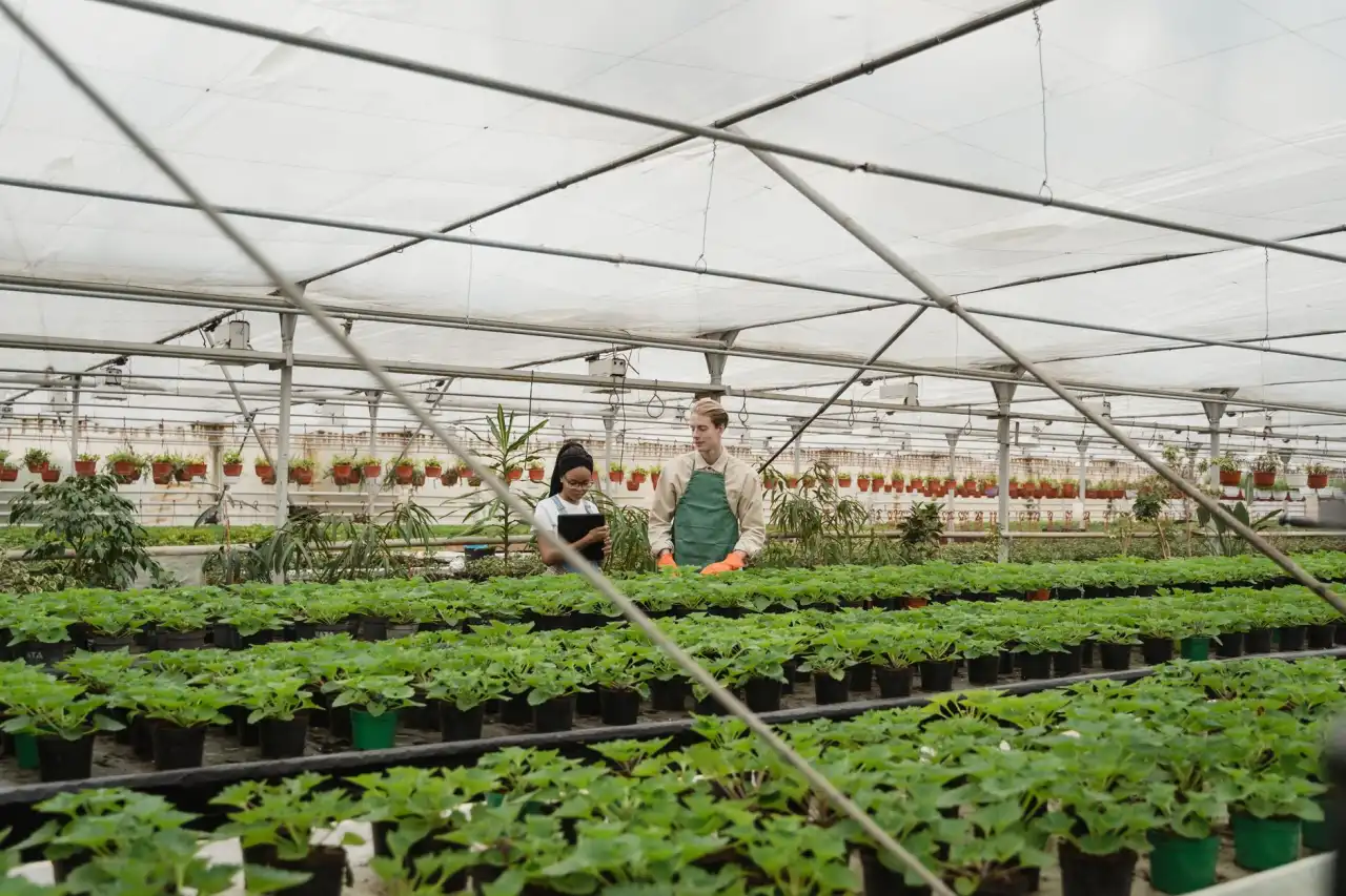 三江地区茶叶种植基地土壤养分检测方案设计与实施要点