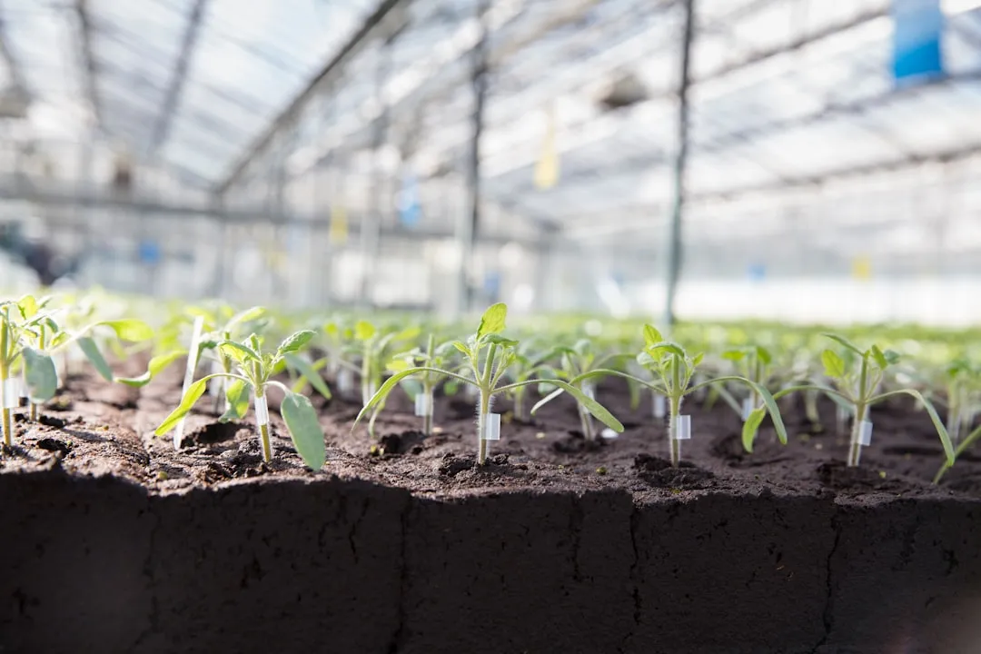 土壤养分检测仪与植物营养诊断仪在农业合作社中的联合应用解析
