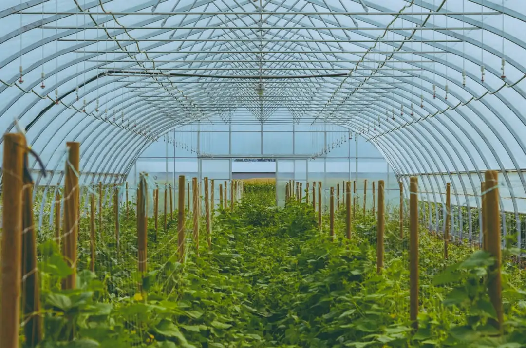 三江恒辉土壤养分检测仪在茶园种植中的应用效果分析