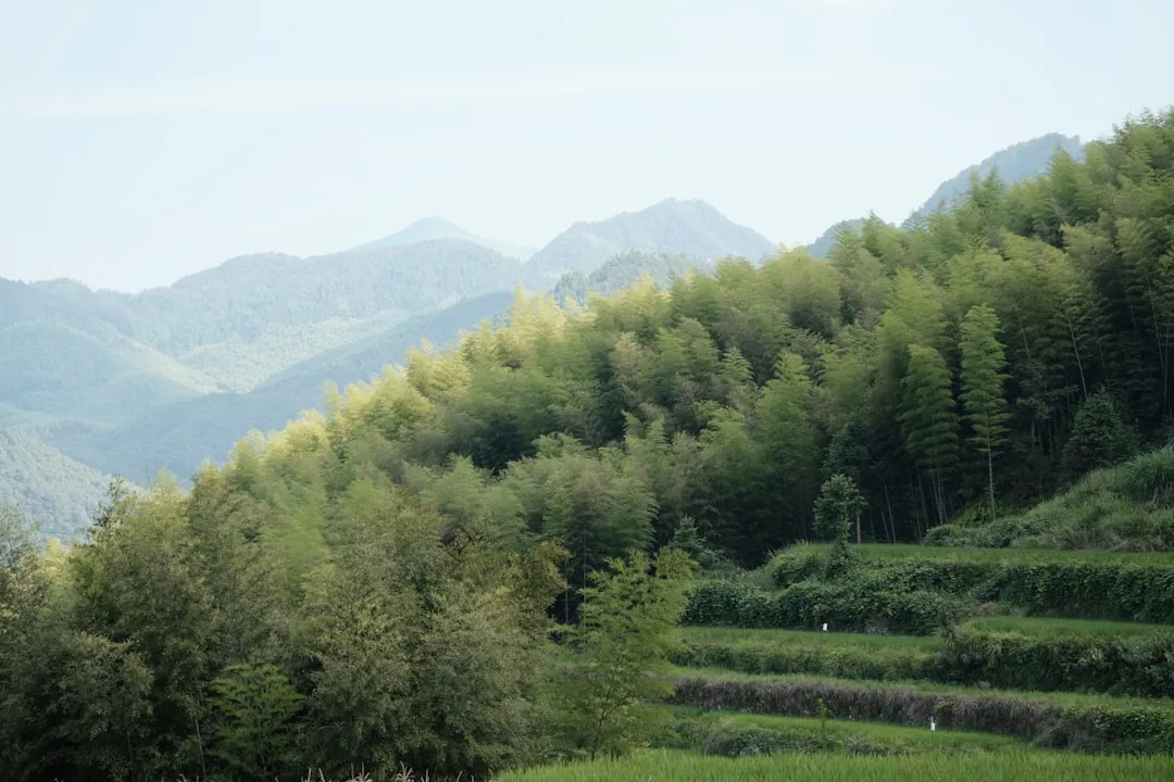 三江恒辉土壤养分检测仪在茶叶种植中的应用优势分析