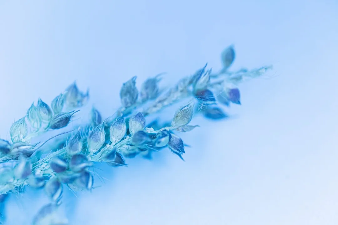 土壤养分检测仪与植物营养诊断仪在农业合作社中的协同应用解析正文配图 2