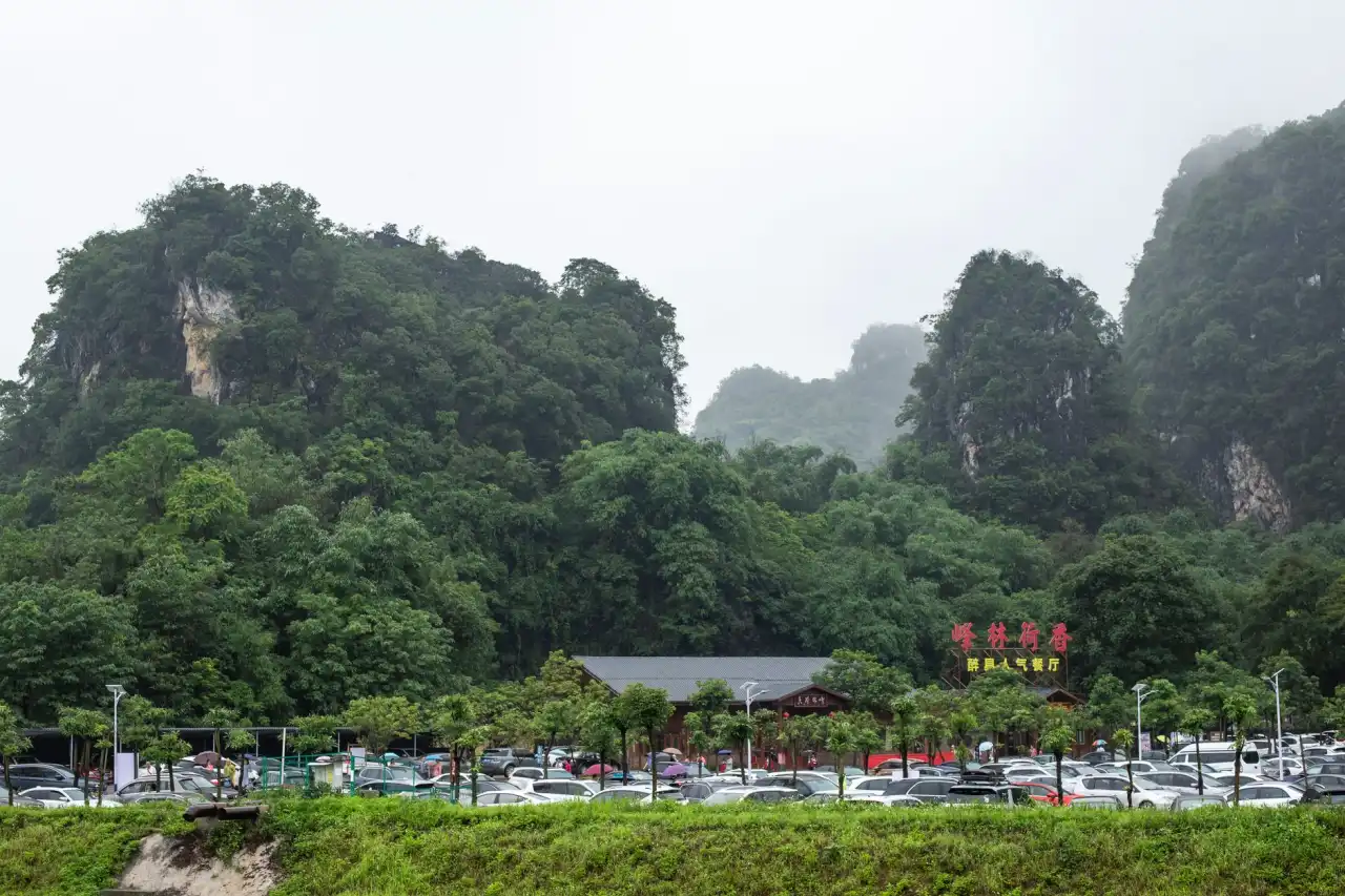 虫情测报灯与孢子捕捉仪在茶园病虫害防控中的协同应用方案