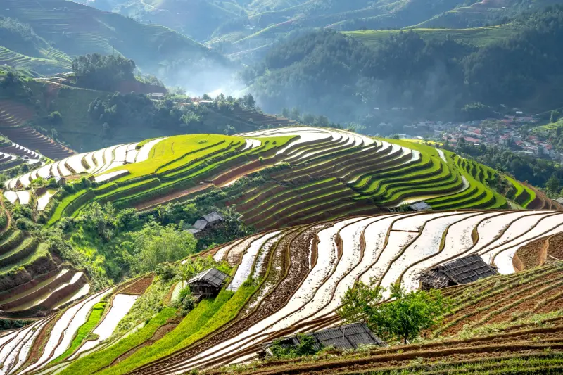 土壤养分检测仪在广西丘陵地区水稻种植中的应用与数据解读正文配图 1
