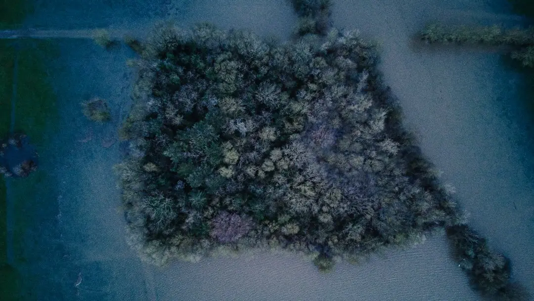土壤养分检测仪与植物营养诊断仪在农业合作社中的协同应用方案