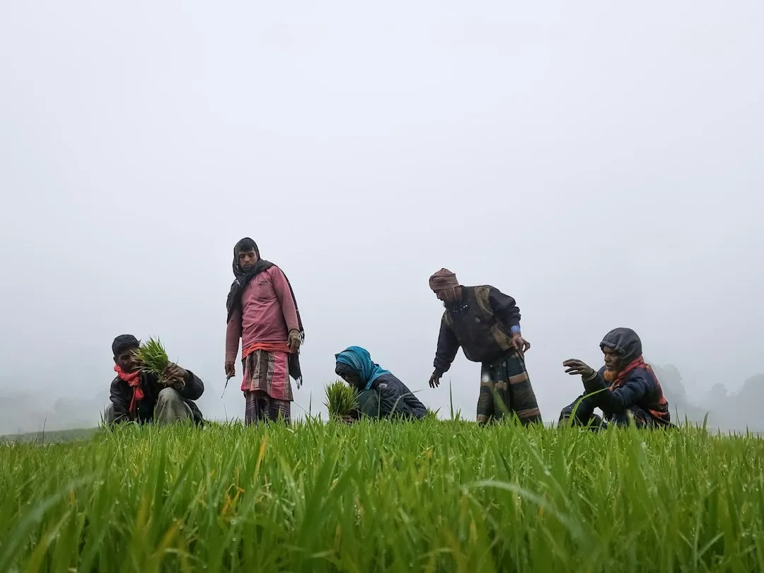 土壤养分检测仪在广西丘陵地区水稻种植中的应用与数据解读正文配图 2